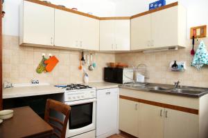 Kuchyňa alebo kuchynka v ubytovaní Seaside Apartment Tisno