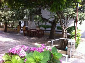Zahrada ubytování Guesthouse Mimas