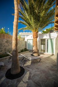 Fotografie z fotogalerie ubytování Villa Jandia Modern new studio Morro Jable Private Cosy Garden and Parking v destinaci Morro del Jable
