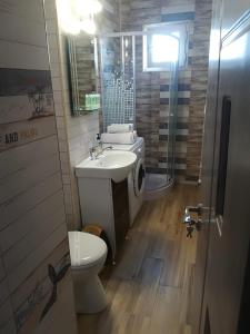 コンスタンツァにあるApartament Roxiのバスルーム(トイレ、洗面台、シャワー付)