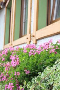 een bos roze bloemen voor een raam bij Landgasthof Ritter in Orsingen-Nenzingen