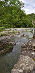 um riacho de água com rochas e árvores em Le Moulin D'onclaire Camping et chambres d'hôtes em Coux