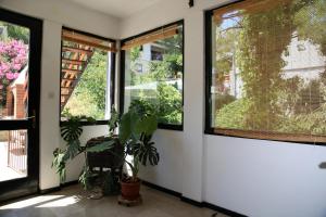 Vonkajšia záhrada v ubytovaní Seaside Apartment Tisno