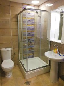 ein Bad mit einer Dusche, einem WC und einem Waschbecken in der Unterkunft Apartment Maris in Ohrid