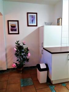 A kitchen or kitchenette at Haus Taekema Appartments