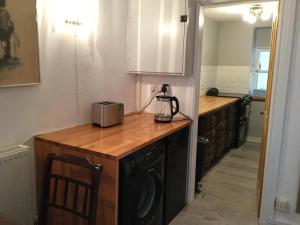 eine Küche mit einer Theke mit einem Mixer darauf in der Unterkunft Garden flat 1 in Llandudno