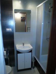 een badkamer met een wastafel, een douche en een spiegel bij Pod Sarenką in Szczawnica