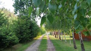 Zahrada ubytování Agrodomek
