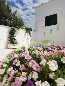una pila de flores rosas y blancas delante de un edificio en B&B Sole Mare Vento, en Maruggio