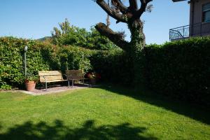 a park bench sitting in the grass next to a hedge at Vivo Hotel in Pieve a Nievole