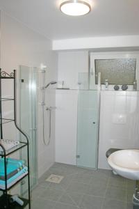 a bathroom with a shower and a sink at Ferienwohnung Klötsch in Katzwinkel +34 photos