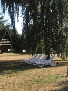 two lounge chairs sitting under a tree in a field at Ośrodek Wypoczynkowy OAZA in Wągrowiec