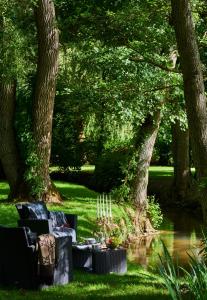 einen Tisch und Stühle im Gras neben einem Teich in der Unterkunft Moulin Royale in Saint-Etienne-Roilaye