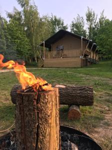 Fotografie z fotogalerie ubytování Riverwood Farm Glamping Safari Tent v destinaci Talaton + 116 fotografií