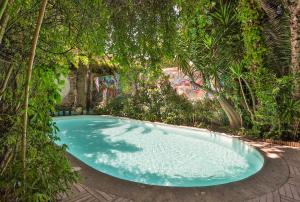 a large swimming pool with trees around it at Le Windsor, Jungle Art Hotel in Nice