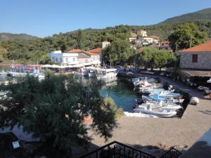 a group of boats are docked in a marina at Gorgona Hotel in Skála Sykaminéas