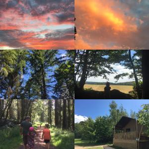 Riverwood Farm Glamping Safari Tent في Talaton: ملصق بأربع صور لاشخاص وأشجار