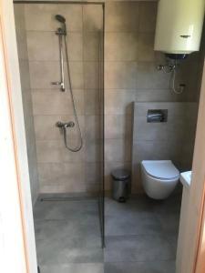 a bathroom with a shower and a toilet at Ośrodek Wypoczynkowy OAZA in Wągrowiec