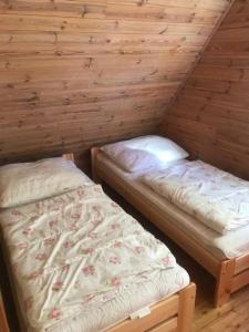 Habitación con 2 camas en una cabaña de madera en Ośrodek Wypoczynkowy OAZA, en Wągrowiec