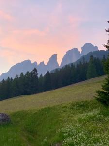 Gallery image of Chalet Pian in Campitello di Fassa