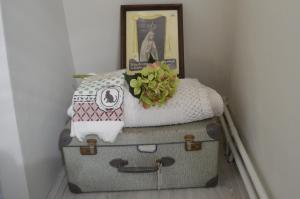 Una habitación con dos maletas con una almohada y una planta en la parte superior en Bijzonder Bakkum en Castricum