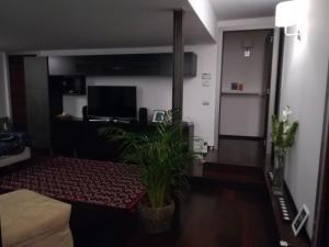 een woonkamer met een potplant en een televisie bij Bastioni Home in Pescara
