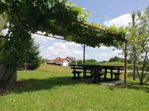 Gallery image of House Viktoria in Seliste Dreznicko +54 photos