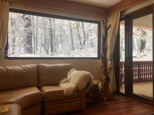 sala de estar con sofá y ventana grande en Departamentos Exclusivos Termas de Chillán, en Nevados de Chillán