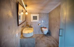 Bagno di Lazy Lizard