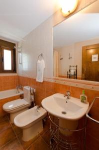 a bathroom with a sink and a toilet and a mirror at Apartamentos Casa Aneta in Sarvisé