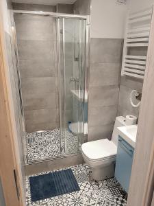 a bathroom with a shower and a toilet and a sink at Apartment near Old Town - Długie Ogrody in Gdańsk