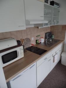 拜尔里舍艾森施泰恩Am Waldrand的配有微波炉和水槽的厨房 更多23张照片