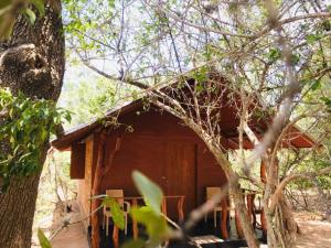 Zahrada ubytování Rivosen Camp Yala Safari
