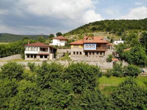Príroda v okolí horskej chaty