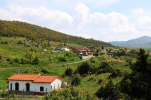 Príroda v okolí horskej chaty