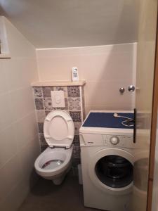 a small bathroom with a toilet and a washing machine at Large and charming apartment near beach with big & sunny terrace in Sumartin +18 photos