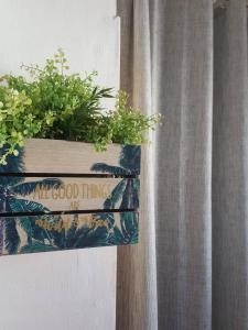 Fotografie z fotogalerie ubytování House Kaić v destinaci Selce