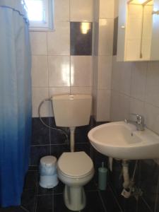 ネア・ミカニオーナにあるStudios Kapsalasのバスルーム(トイレ、洗面台付)