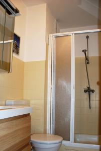 クックスハーフェンにあるAm Sahlenburgerstrand Whg 31のバスルーム(シャワー、トイレ、洗面台付)
