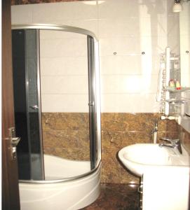 a bathroom with a shower and a sink at Tbilisi Comfort in Tbilisi City