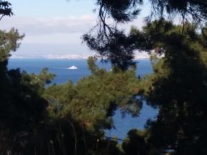 比于卡达Apartament Ada的透过树林欣赏海景