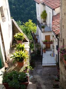 un callejón con macetas a los lados de los edificios en B&B Lo Straniero, en Rivello