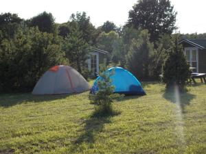 Fotografie z fotogalerie ubytování Kastani Camping v destinaci Haapsalu