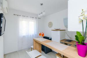 Kuchyň nebo kuchyňský kout v ubytování Villa Ivanka