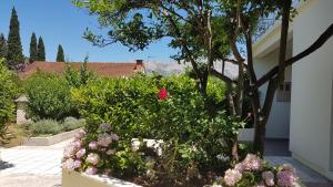 un jardín con flores rosas y un árbol en Apartman LUCIJA en Korčula
