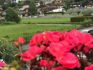 Zahrada ubytování Art Apart Nomay Summercard Blick Top of Salzburg