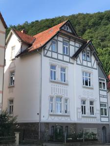 une maison blanche avec un toit rouge dans l'établissement Villa Hanne mit Garten, à Thale