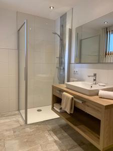 a bathroom with a glass shower and a sink at Ferienwohnungen Eiter Fridolin in Zaunhof