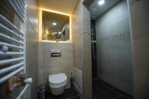 a bathroom with a toilet and a shower with a mirror at Apartman Natalija Banja Luka in Banja Luka