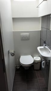 a small bathroom with a toilet and a sink at Guesthouse Osvald in Žirovnica